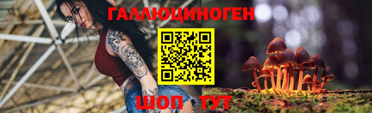 Галлюциногенные грибы мухоморы  наркотики  Тосно  Вход с VPN 