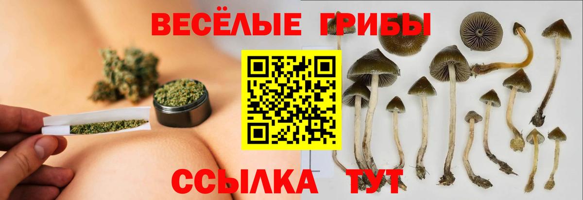 Галлюциногенные грибы Magic Shrooms Тосно